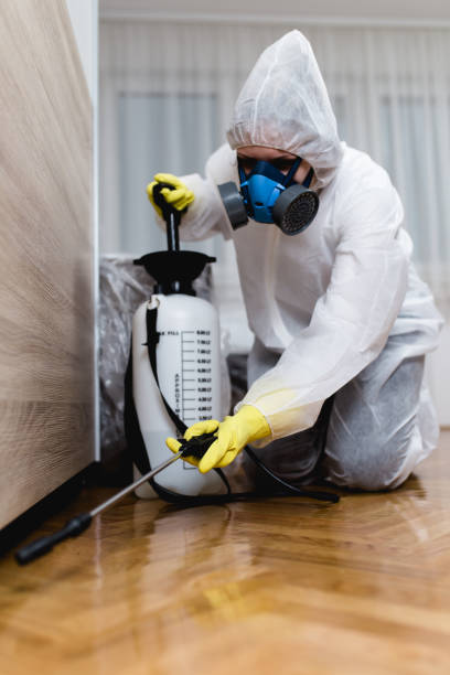 Real Estate Pest Inspections in Depew, NY